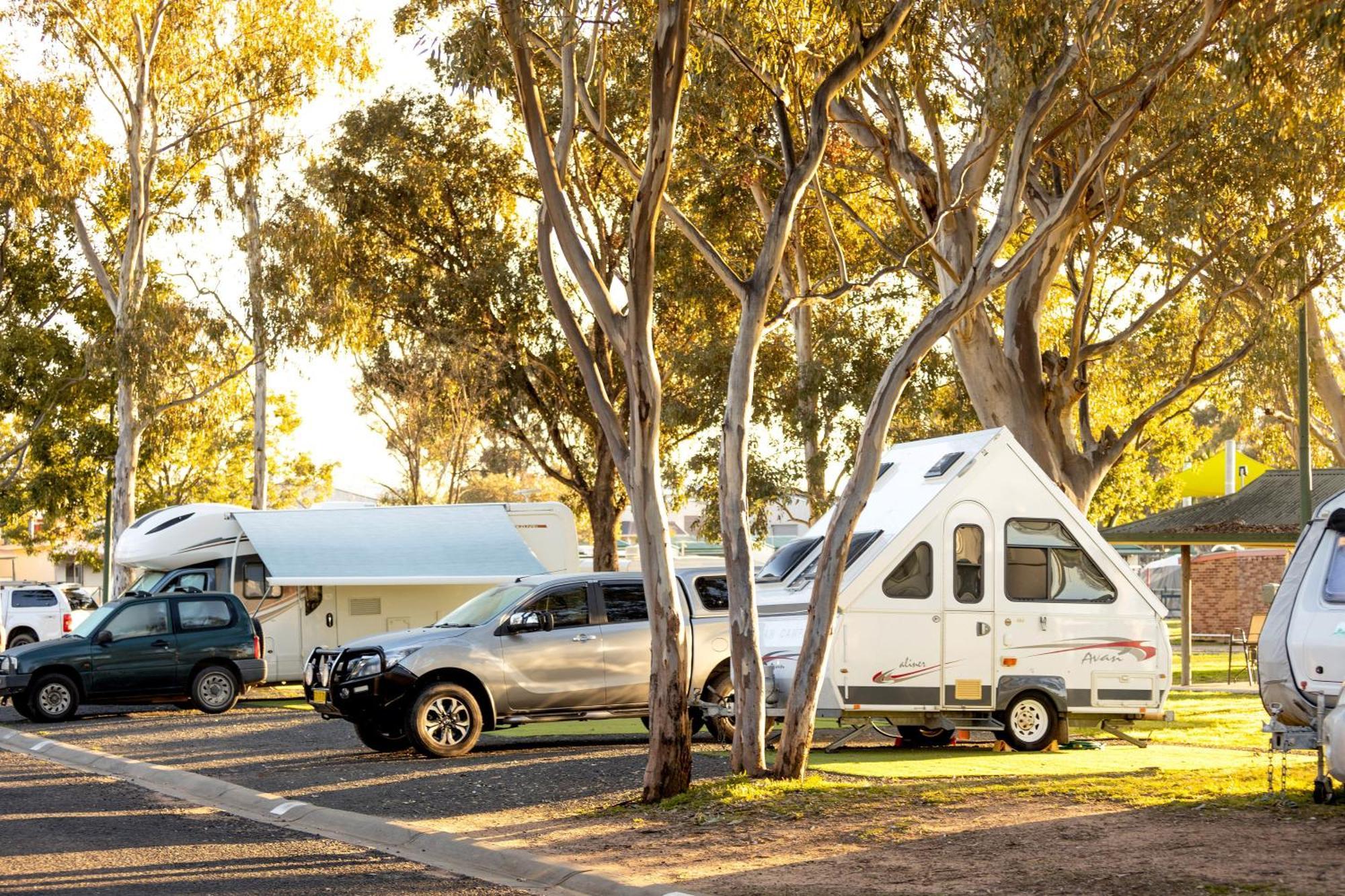 Big4 Mudgee Holiday Park المظهر الخارجي الصورة